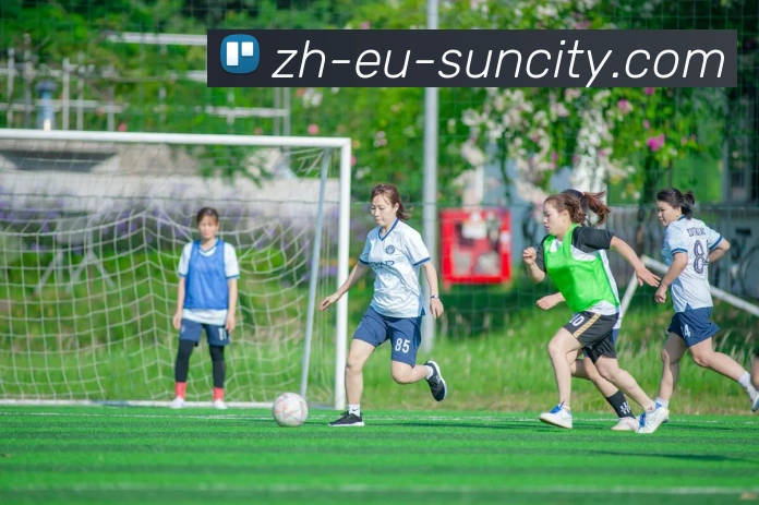 太阳城官网APP 封面图